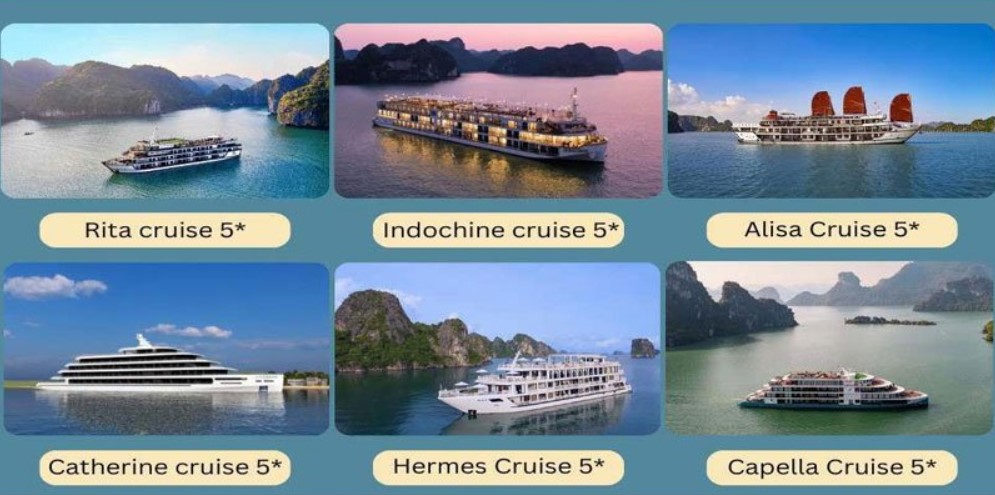 Xác Định Mục Đích Chuyến Đi - Lựa Chọn Du Thuyền Phù Hợp