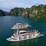 Nghỉ dưỡng thượng lưu trên vịnh Hạ Long cùng Paradise Elegance